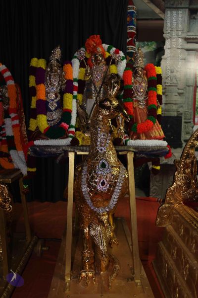 File:20101114 Photo 1349 1NttU6 36uE96gMZjzmstsXGTVkQlOEXF.JPG