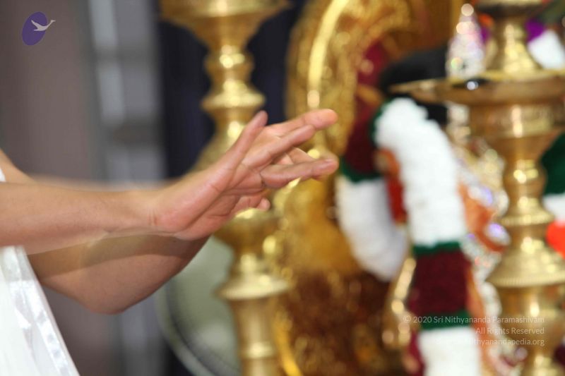 File:20101114 Photo 1351 1OQ9tKB0WgZMViXBLdYFNuIWZyM0m F4E.JPG