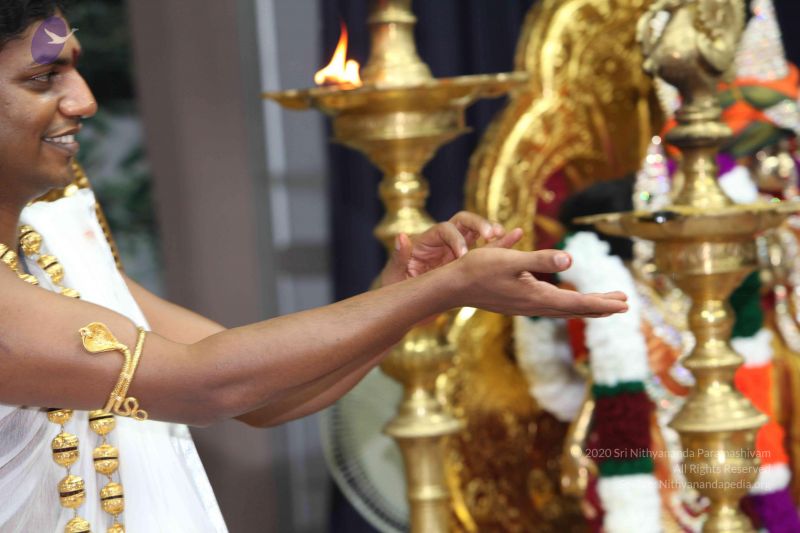 File:20101114 Photo 1355 1e7ASmzONDkYmAaDMyXrhCPuBiev10Ho8.JPG