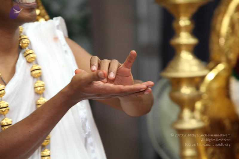 File:20101114 Photo 1359 1casd49KRUhaawwG3KBPEfiWasdu0rjbR.JPG