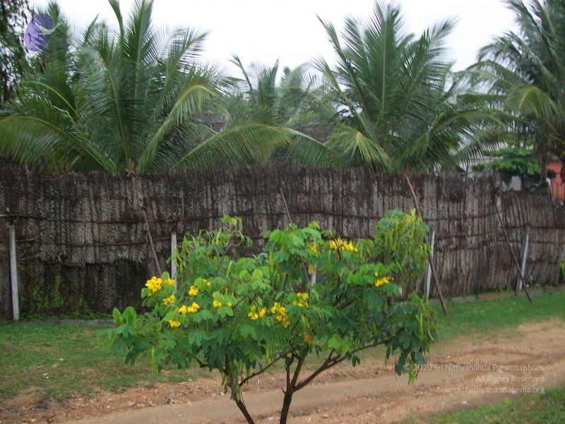 File:20101114 Photo 1361 1sTvj-HUk0x7G0zbyEiyOpbekYRZFTKIR.JPG