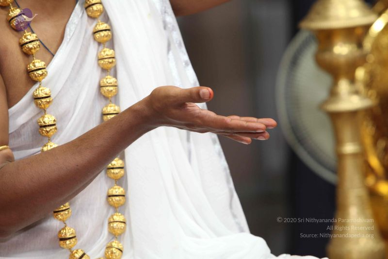 File:20101114 Photo 1364 1YGgRqaoaWt7Kv2JAeMttfNlWXqnK811k.JPG