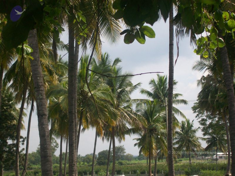 File:20101114 Photo 1375 1TmORI9TC8wCbVtAT7L1r6BcIoBukucog.JPG