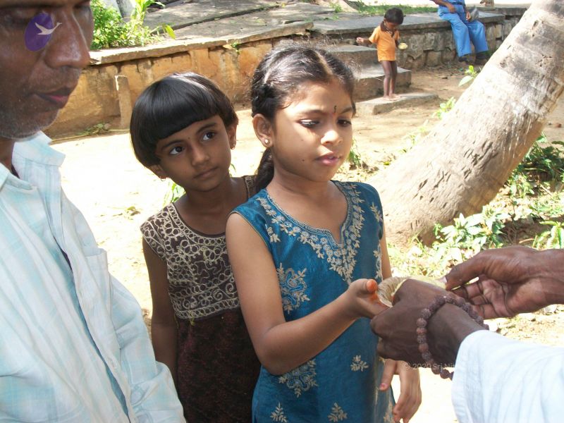 File:20101114 Photo 1382 1hziyyquIrkMK0Jw8FapiCmfiXPVc438K.JPG