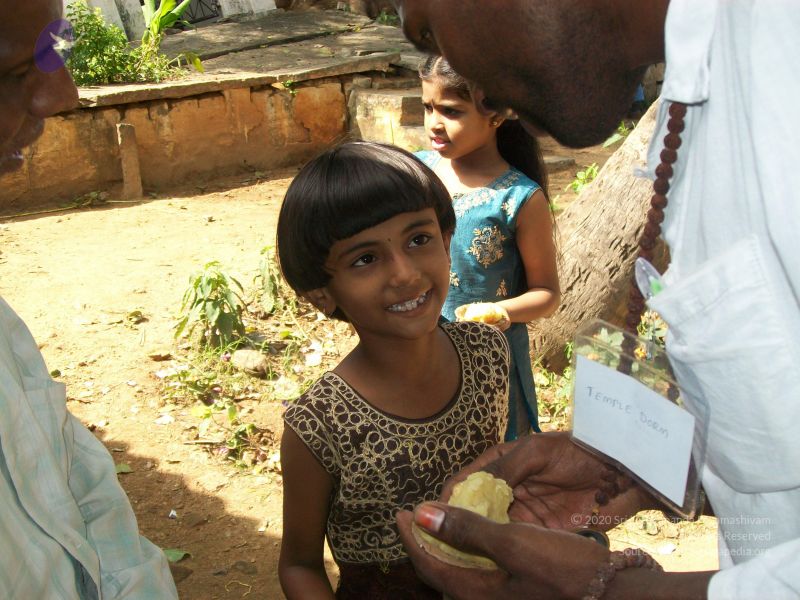 File:20101114 Photo 1383 1HQOVN0PNYYA88ITkEGzsfYDpcBlZlKM .JPG