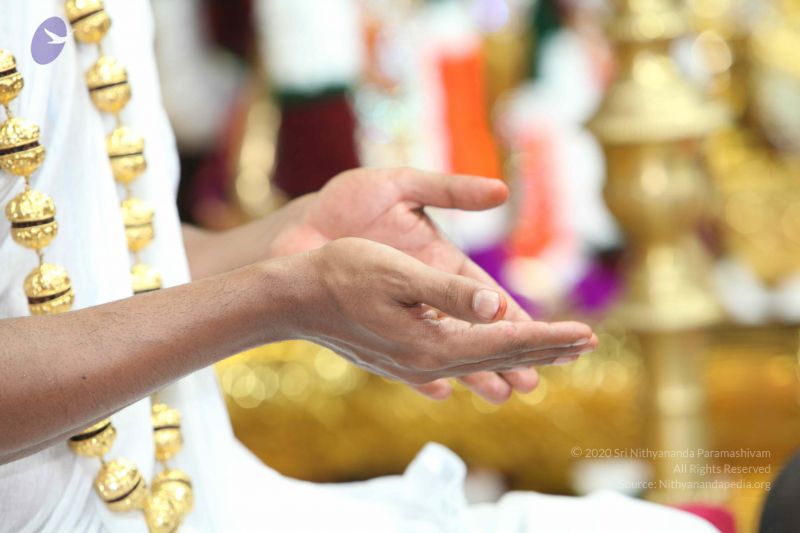 File:20101114 Photo 1412 1lTWBcQLAZhAuC715qq8CYQ3P6ZOVkixf.JPG