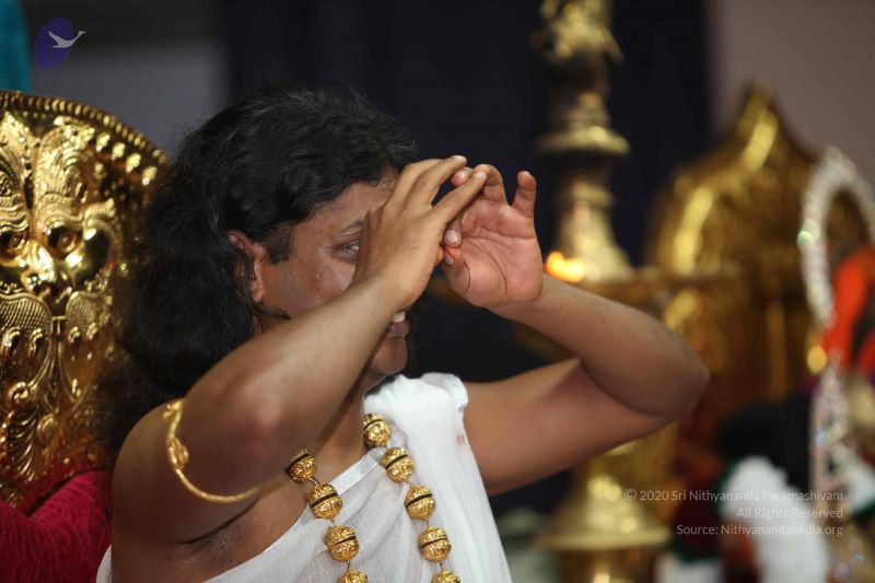 File:20101114 Photo 1533 1kHAO6vBPBl0w9XewV05a5bKLQSwc0sZt.JPG