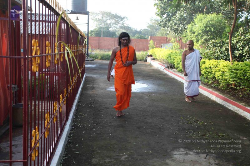 File:20101118 Photo 1009 1d9QQ6hgtuVrwMuL45do2FB4t0O5IXcFK.JPG