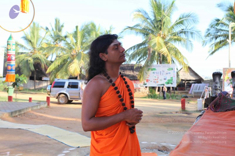 File:20101118 Photo 1065 1IyPlYpH0WknZaJdZ3WRtlkOU2YAdOyAb.JPG
