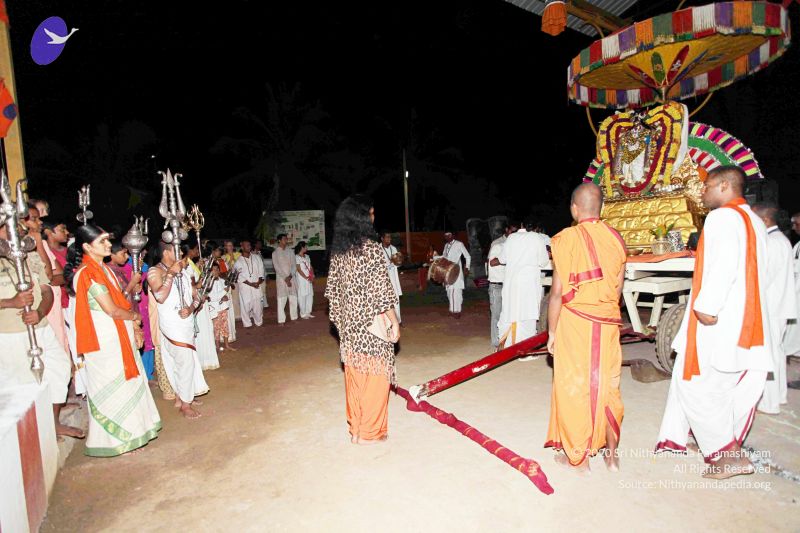 File:20101120IMG 9050 CMP WM01.jpg