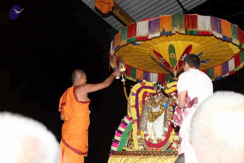 File:20101120IMG 9068 CMP WM01.jpg