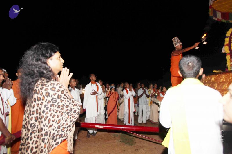 File:20101120IMG 9153 - Copy CMP WM0100.jpg