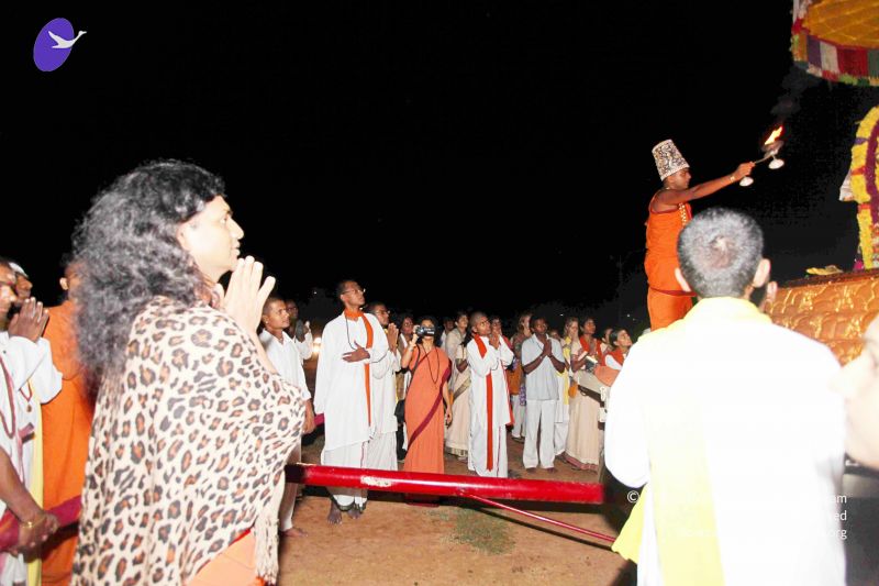 File:20101120IMG 9153 CMP WM0100.jpg