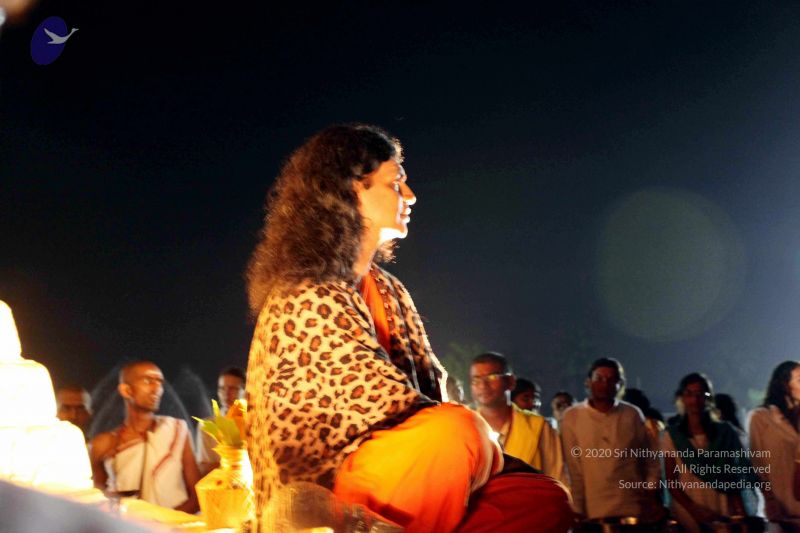 File:20101120IMG 9194 CMP WM0100.jpg