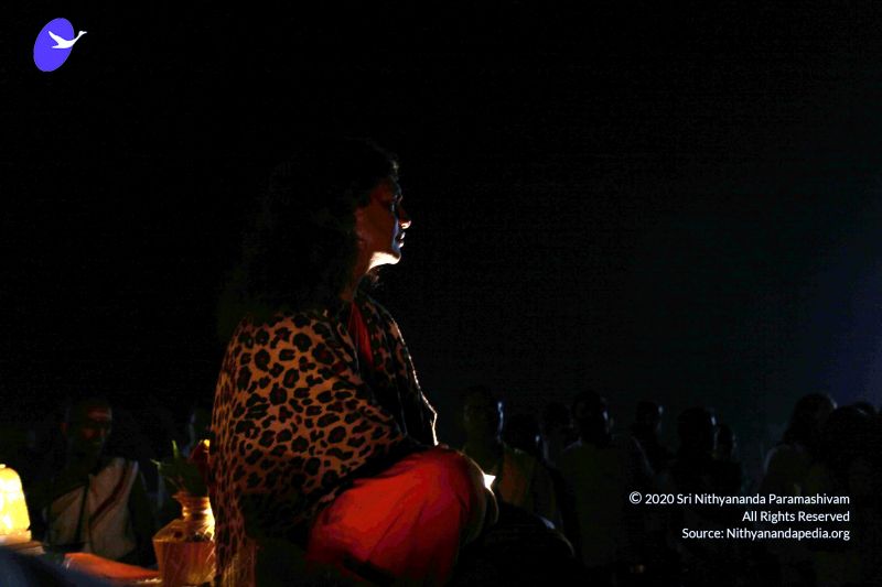 File:20101120IMG 9195 CMP WM0100.jpg