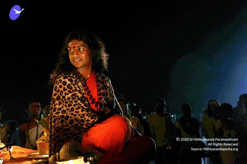 File:20101120IMG 9200 CMP WM0100.jpg