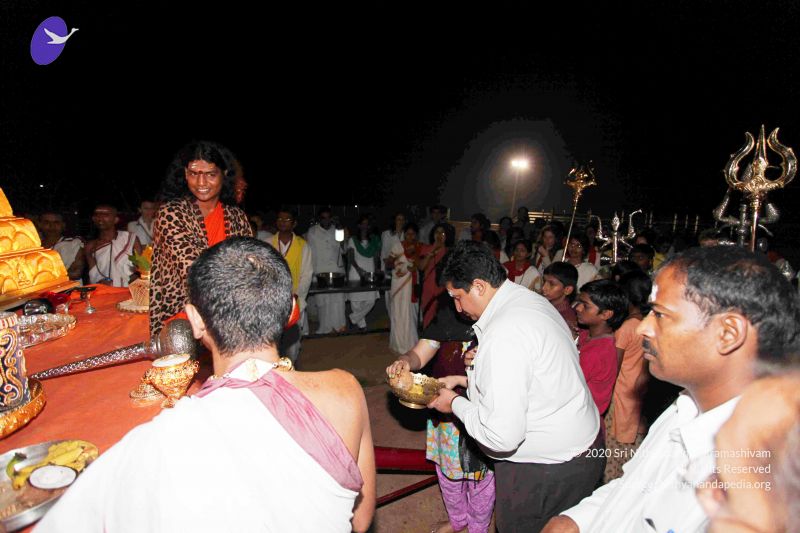 File:20101120IMG 9205 CMP WM0100.jpg