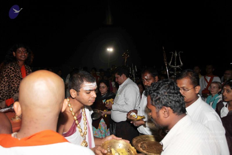 File:20101120IMG 9211 CMP WM0100.jpg