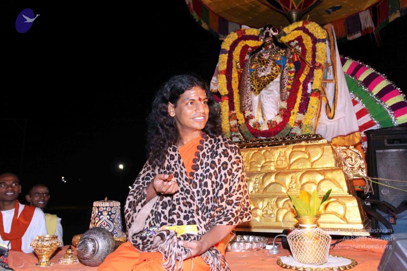 File:20101120IMG 9235 CMP WM0100.jpg