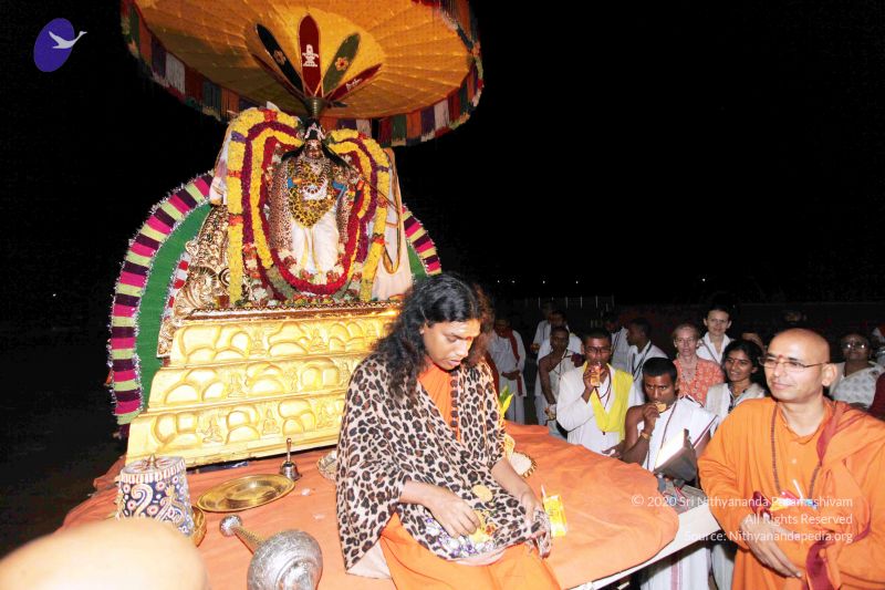 File:20101120IMG 9249 CMP WM0100.jpg