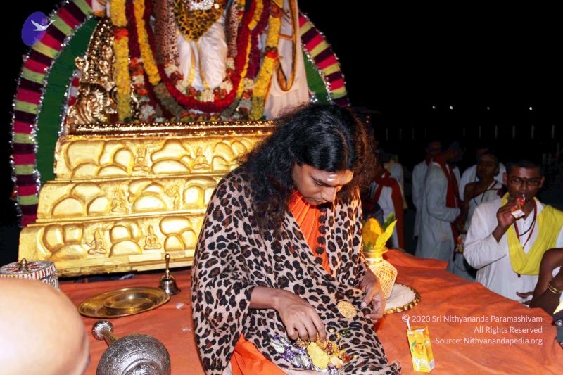 File:20101120IMG 9251 CMP WM0100.jpg