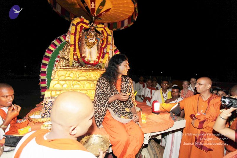 File:20101120IMG 9254 CMP WM0100.jpg