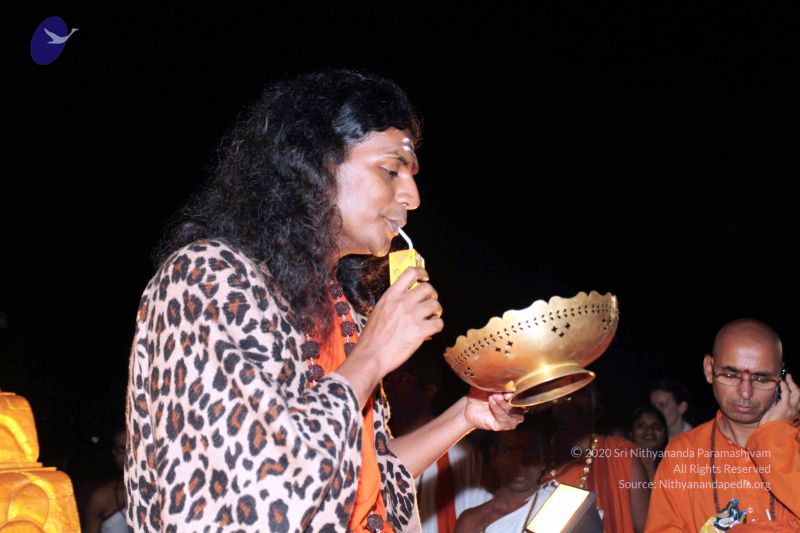 File:20101120IMG 9257 CMP WM0100.jpg