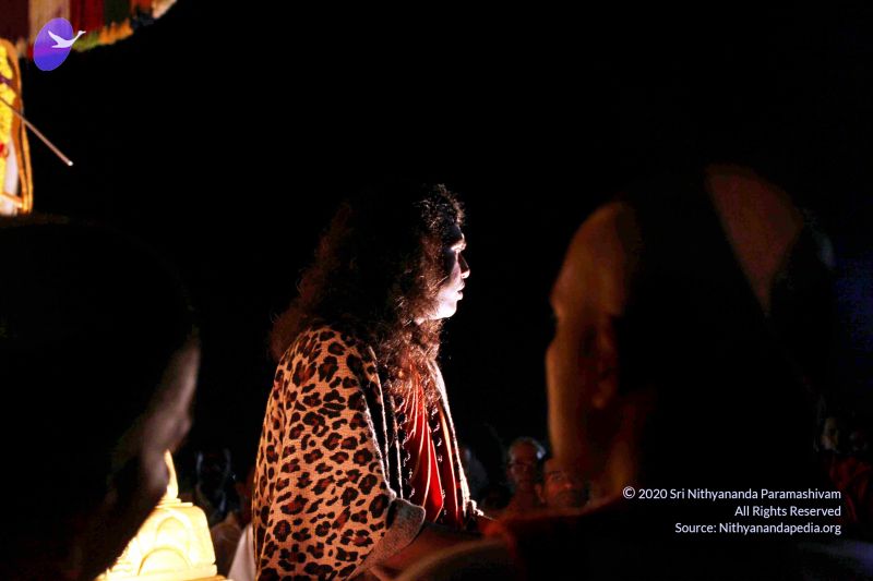 File:20101120IMG 9262 CMP WM0100.jpg