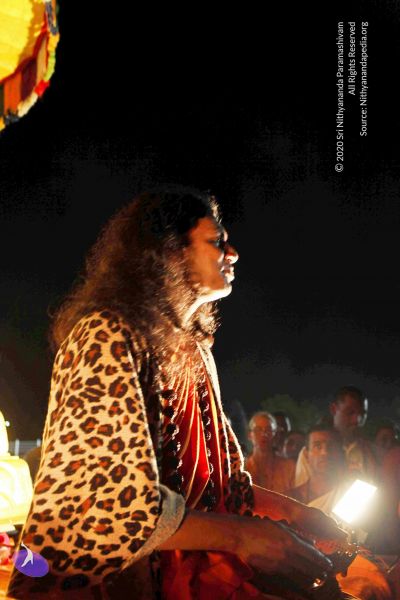 File:20101120IMG 9265 CMP WM0100.jpg