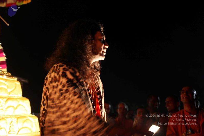 File:20101120IMG 9267 CMP WM0100.jpg