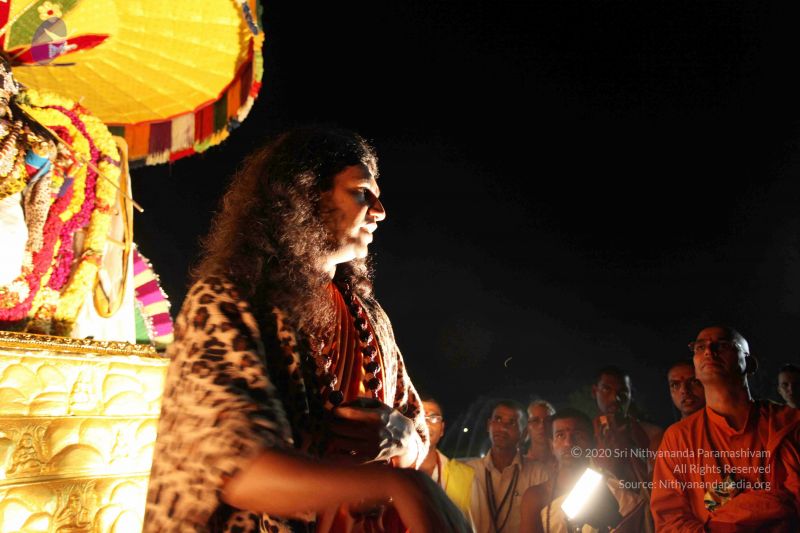 File:20101120IMG 9274 CMP WM0100.jpg