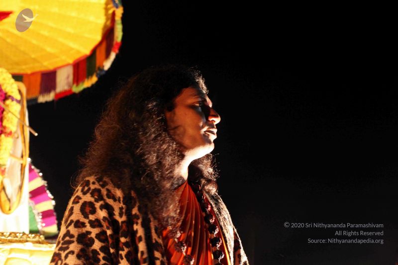 File:20101120IMG 9277 CMP WM0100.jpg