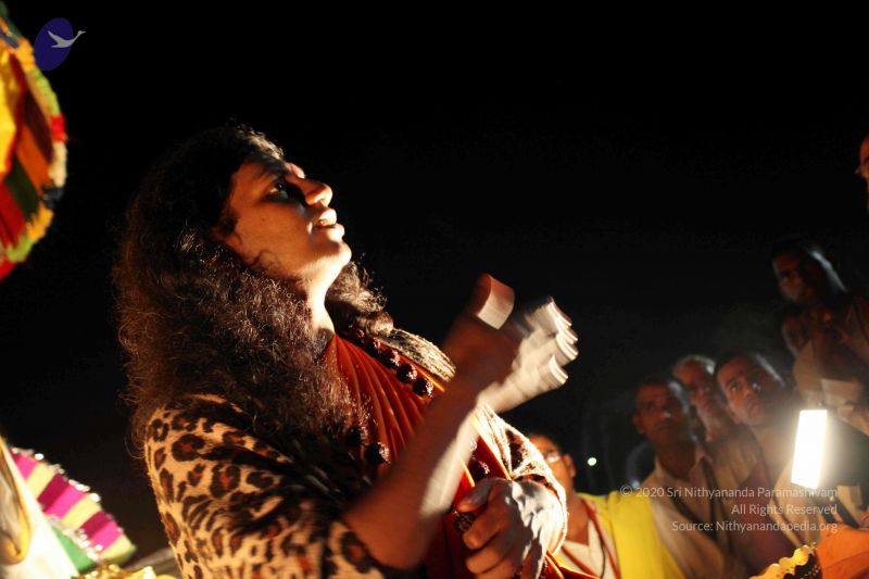 File:20101120IMG 9278 CMP WM0100.jpg