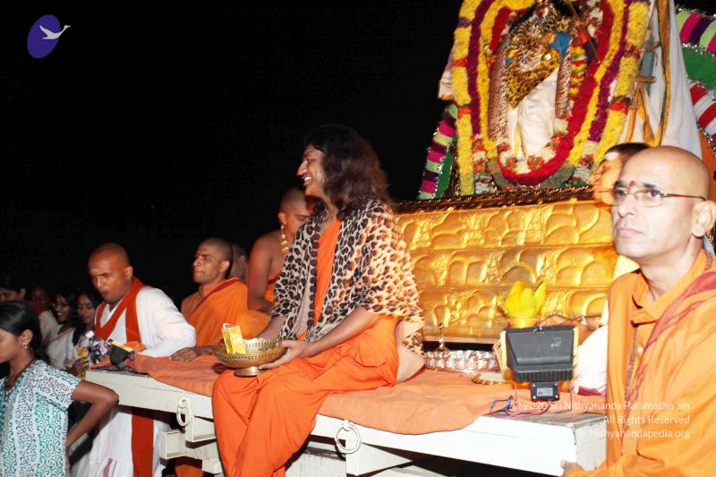 File:20101120IMG 9301 CMP WM0100.jpg