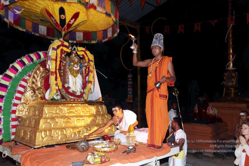 File:20101120IMG 9372 CMP WM0100.jpg