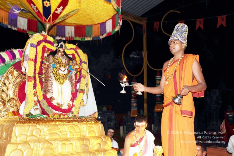 File:20101120IMG 9378 CMP WM0100.jpg