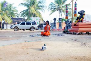 20101120IMG 9385 CMP WM0100.jpg