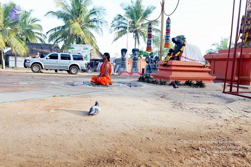 File:20101120IMG 9386 CMP WM0100.jpg