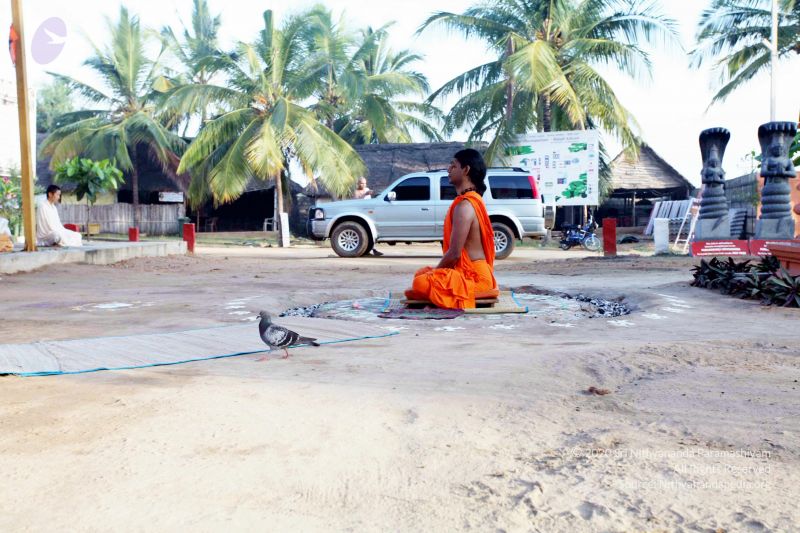 File:20101120IMG 9388 CMP WM0100.jpg