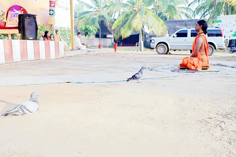 File:20101120IMG 9391 CMP WM0100.jpg