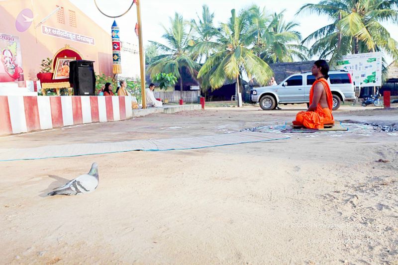 File:20101120IMG 9395 CMP WM0100.jpg