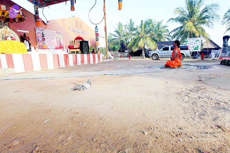 File:20101120IMG 9396 CMP WM0100.jpg