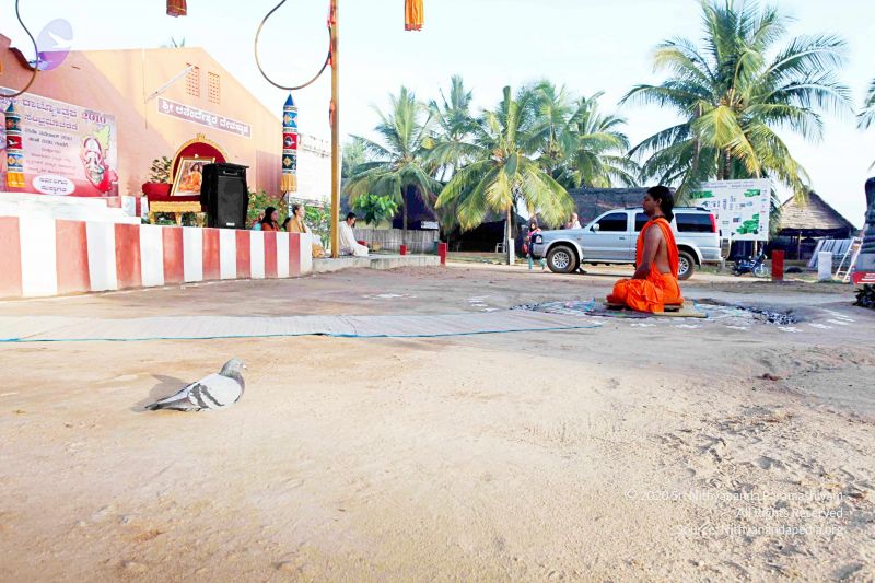 File:20101120IMG 9398 CMP WM0100.jpg