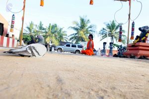 20101120IMG 9404 CMP WM0100.jpg