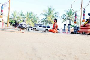 20101120IMG 9407 CMP WM0100.jpg