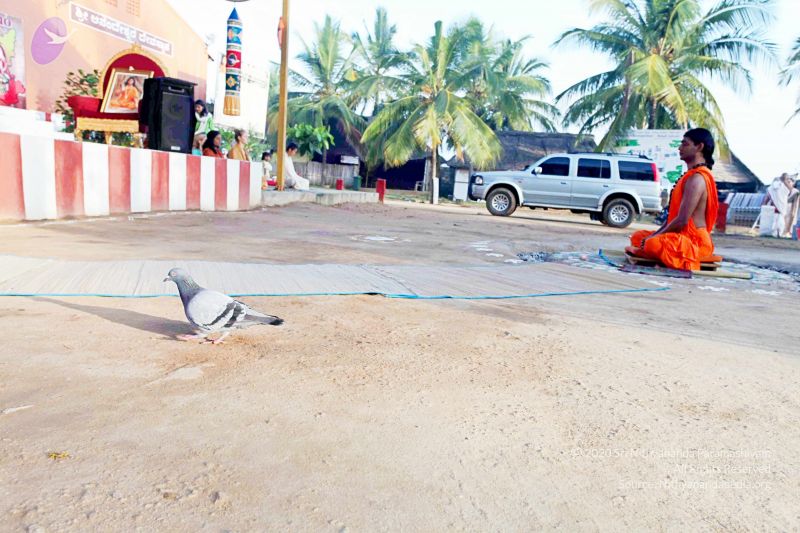 File:20101120IMG 9409 CMP WM0100.jpg