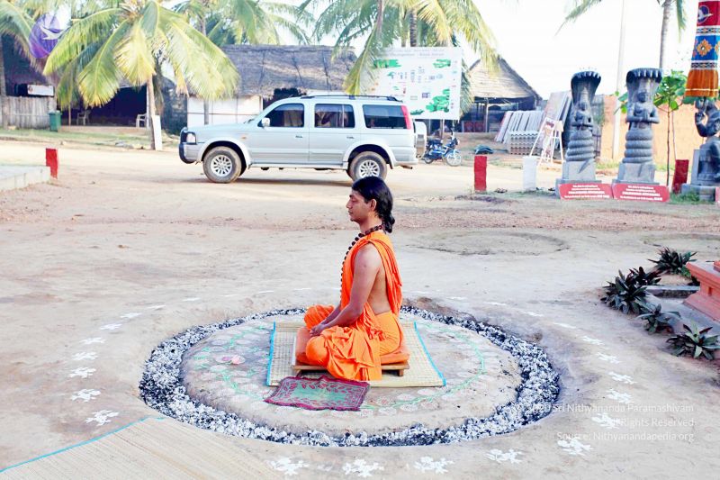 File:20101120IMG 9410 CMP WM0100.jpg