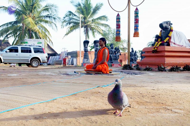 File:20101120IMG 9412 CMP WM0100.jpg