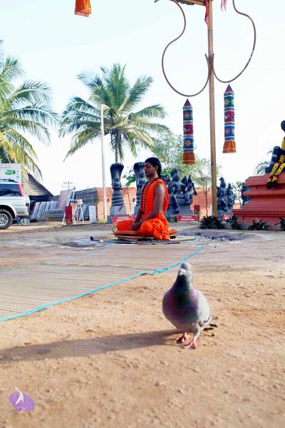 File:20101120IMG 9416 CMP WM0100.jpg