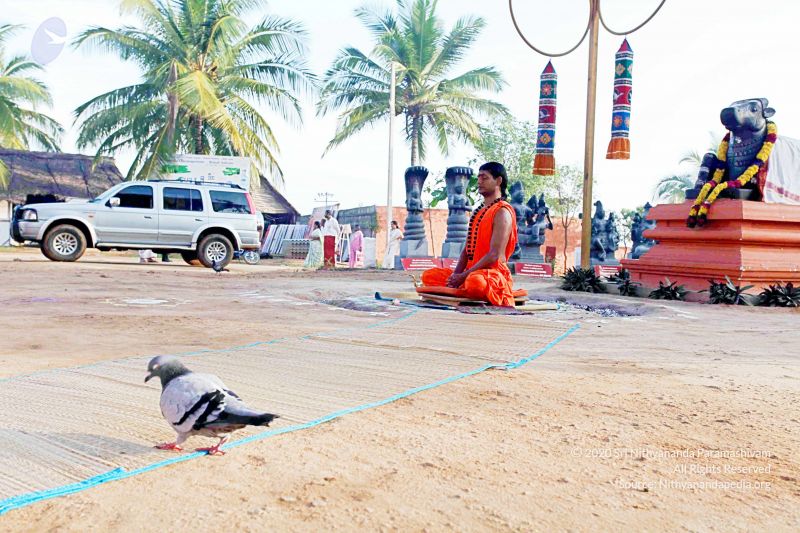 File:20101120IMG 9422 CMP WM0100.jpg